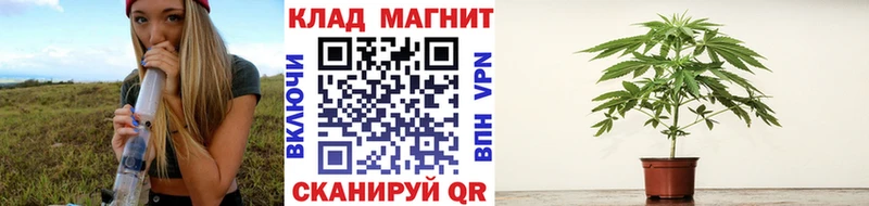 МЕФ Шимановск