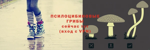 прущие крисы Алексин