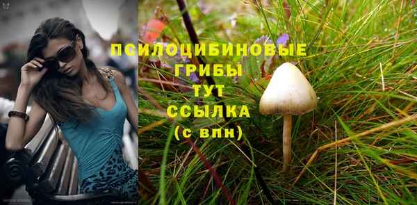 apvp Абинск