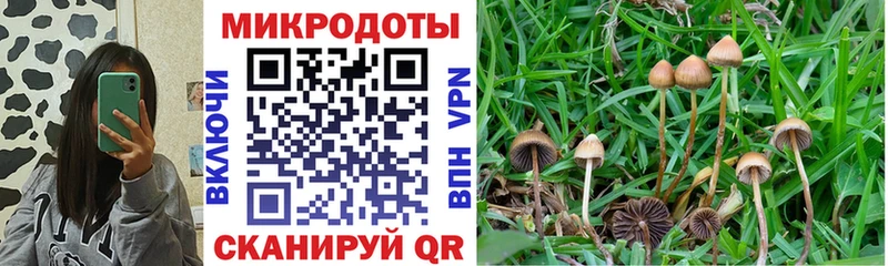 Галлюциногенные грибы мицелий Шимановск