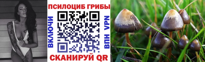 Галлюциногенные грибы GOLDEN TEACHER  Шимановск 